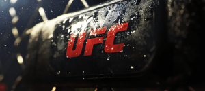 UFC logo image